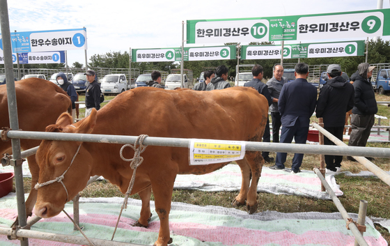 제주 돼지·닭 ↑…개고기 금지로 개 사육은 대폭 줄어