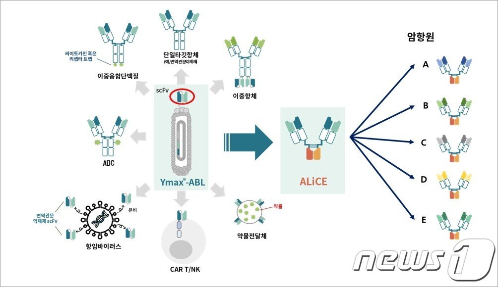 본문 이미지 - 와이바이오로직스 플랫폼 기술로부터 파생될 수 있는 다양한 형태의 신약 물질.(와이바이오로직스 제공)