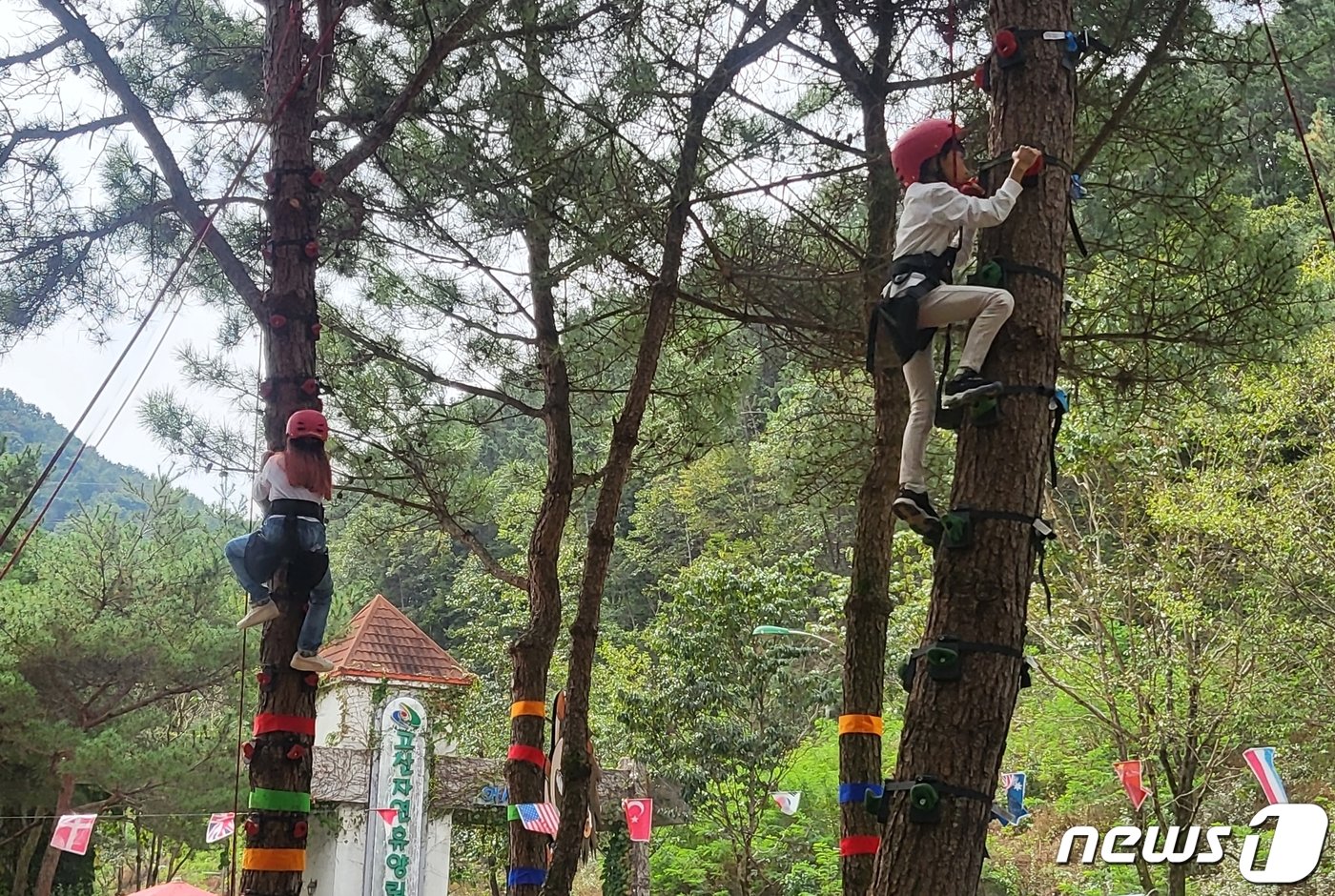 7일 전북 완주군 고산자연휴양림 일원에서 열리고 있는 완주와일드&로컬푸드 축제를 찾은 어린이들이 몽키클라이밍 체험 활동을 하고 있다. 2023.10.7/뉴스1 강교현기자