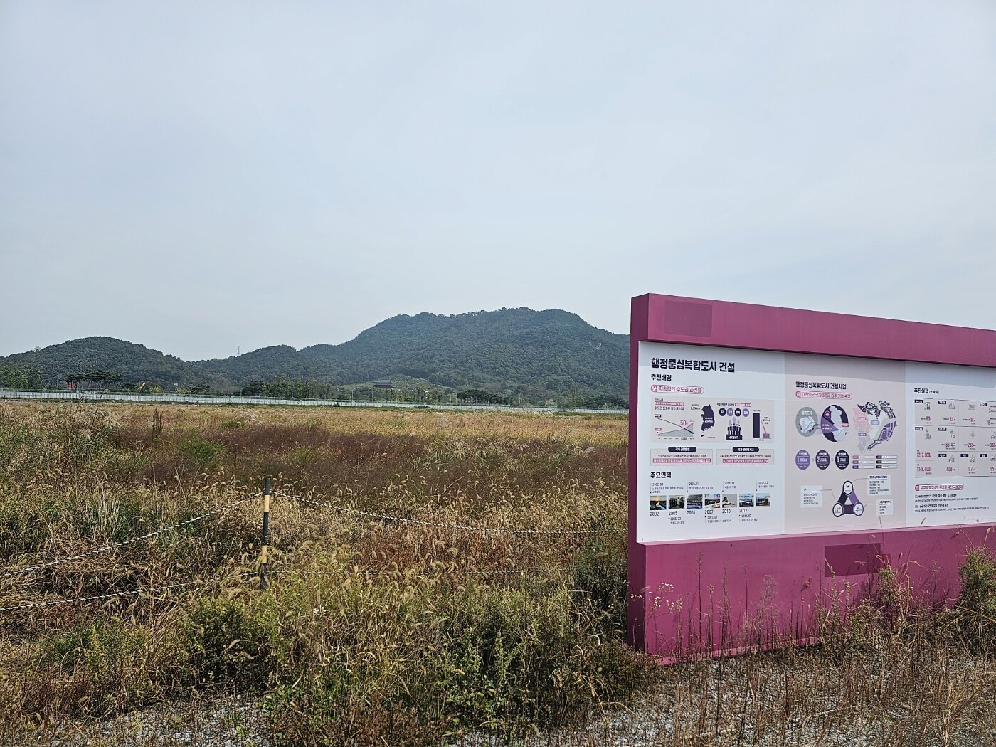 본문 이미지 - 세종시 세종동 국회 세종의사당 예정부지. / 뉴스1 