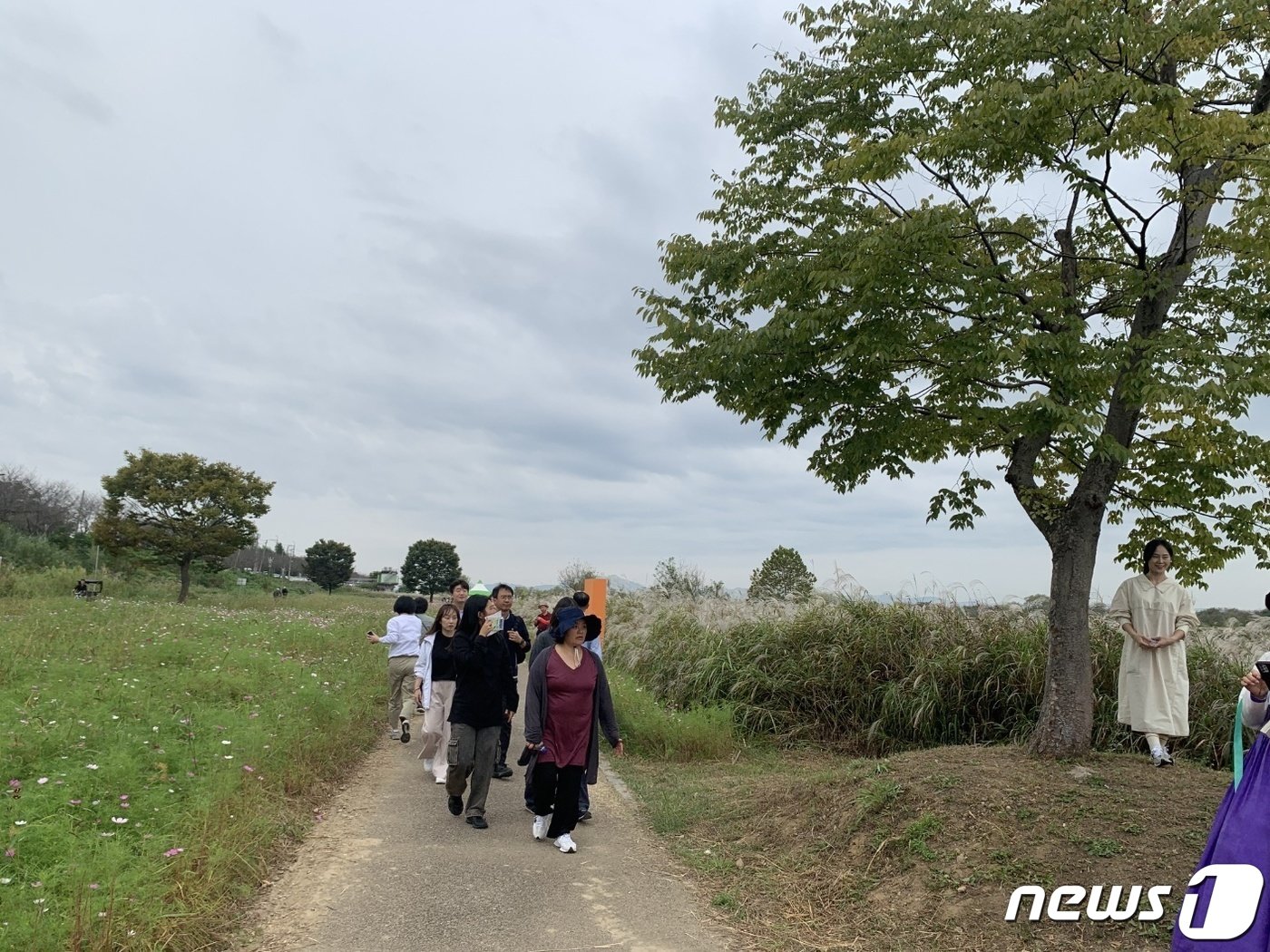 본문 이미지 - 7일 광주 서구 서창억새축제를 찾은 시민들이 갈대밭을 배경으로 사진 촬영을 하고 있다.(광주 서구 제공) 2023.10.7