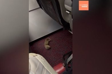 본문 이미지 - 유튜브채널 'euronews' 영상 갈무리