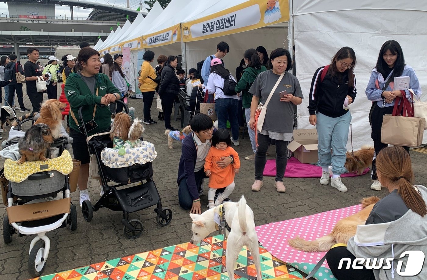 8일 서울 마포구 월드컵공원 평화광장에서 열린 &#39;서울 반려동물 한마당 축제&#39; 발라당입양센터 부스에서 시민들이 유기견과 즐거운 시간을 보내고 있다.&#40;동물과 함께 행복한 세상 제공&#41; ⓒ News1