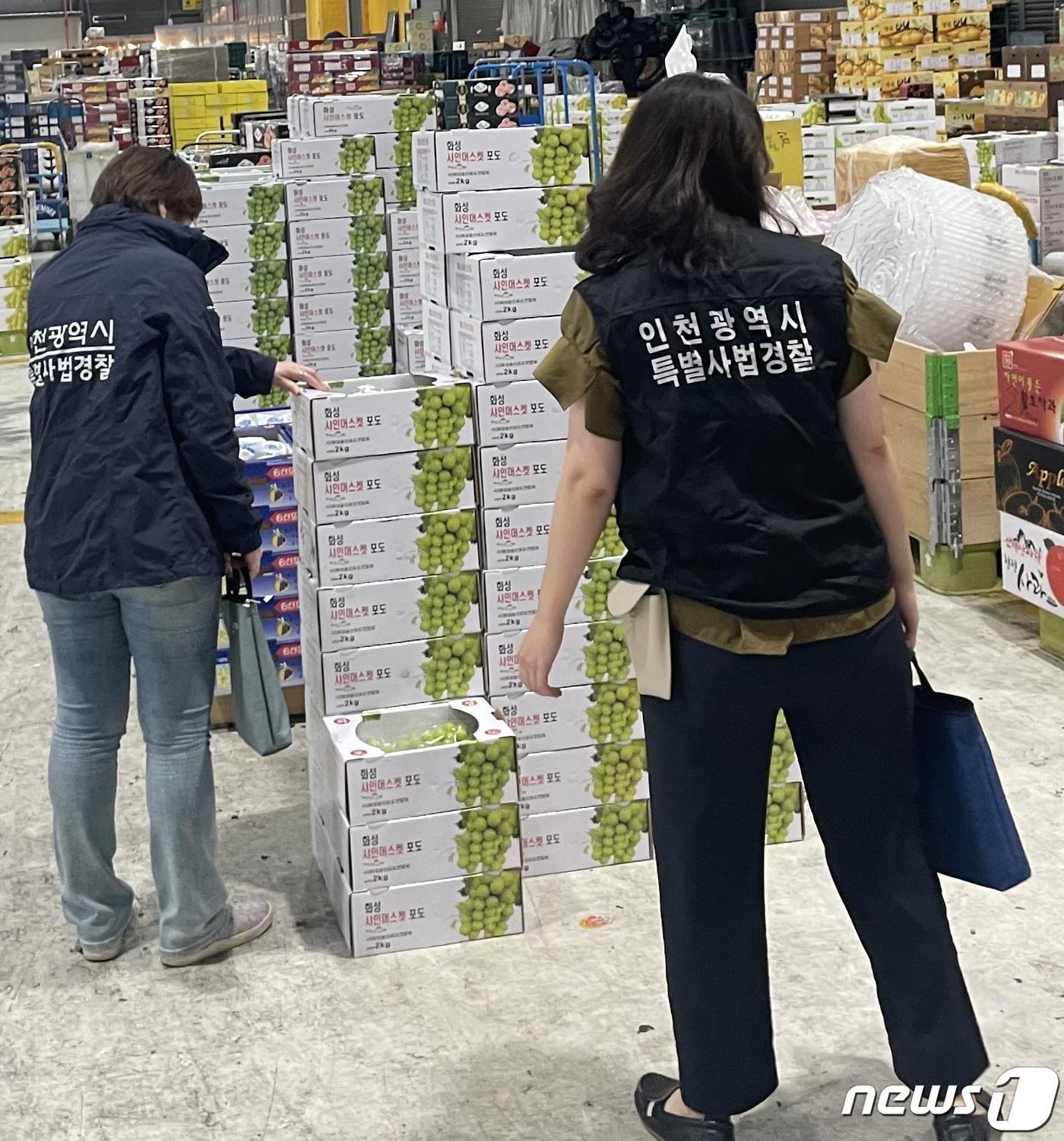 본문 이미지 - 특별사법경찰관 단속 모습. 사진은 기사 내용과 무관함.ⓒ 뉴스1 박아론 기자