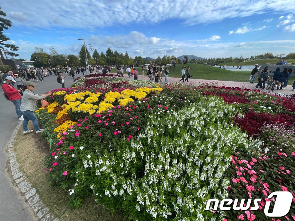본문 이미지 - 9일 오전 순천만국제정원박람회장을 찾은 관람객들이 파란 가을하늘아래 국화꽃을 만끽하고 있다. 2023.10.9 /뉴스1 ⓒ News1 김태성 기자