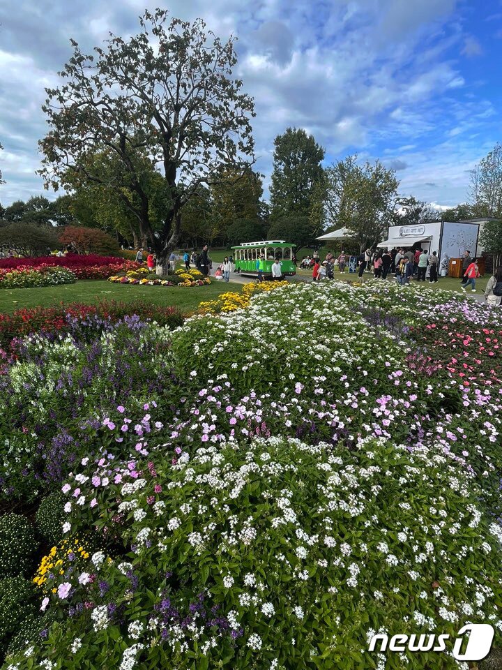 본문 이미지 - 9일 오전 순천만국제정원박람회장을 찾은 관람객들이 파란 가을하늘아래 국화꽃을 만끽하고 있다. 2023.10.9 /뉴스1 ⓒ News1 김태성 기자