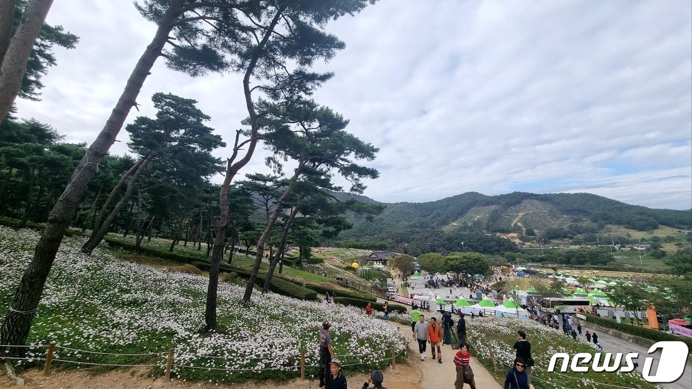 전북 정읍시는 8일 제16회 구절초꽃축제 개막식을 열고 15일까지 본격적인 관광객 맞이에 들어갔다.&#40;정읍시 제공&#41;2023.10.8/뉴스1