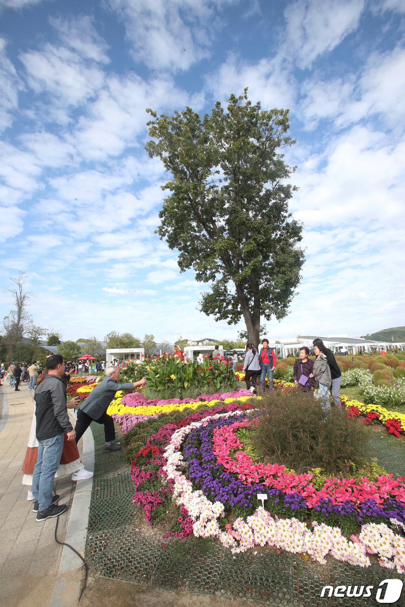 본문 이미지 - 9일 오전 순천만국제정원박람회장을 찾은 관람객들이 형형색색의 국화꽃을 만끽하고 있다. 2023.10.9 /뉴스1 ⓒ News1 김태성 기자