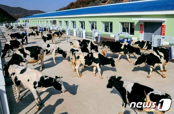 북한, '미래세대' 위한 육아정책 강조… 송금축산농장