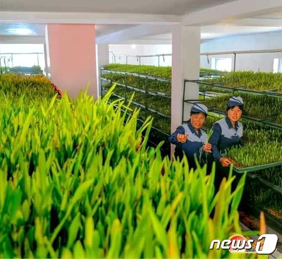 북한, '미래세대' 위한 육아정책 선전… 송금축산농장