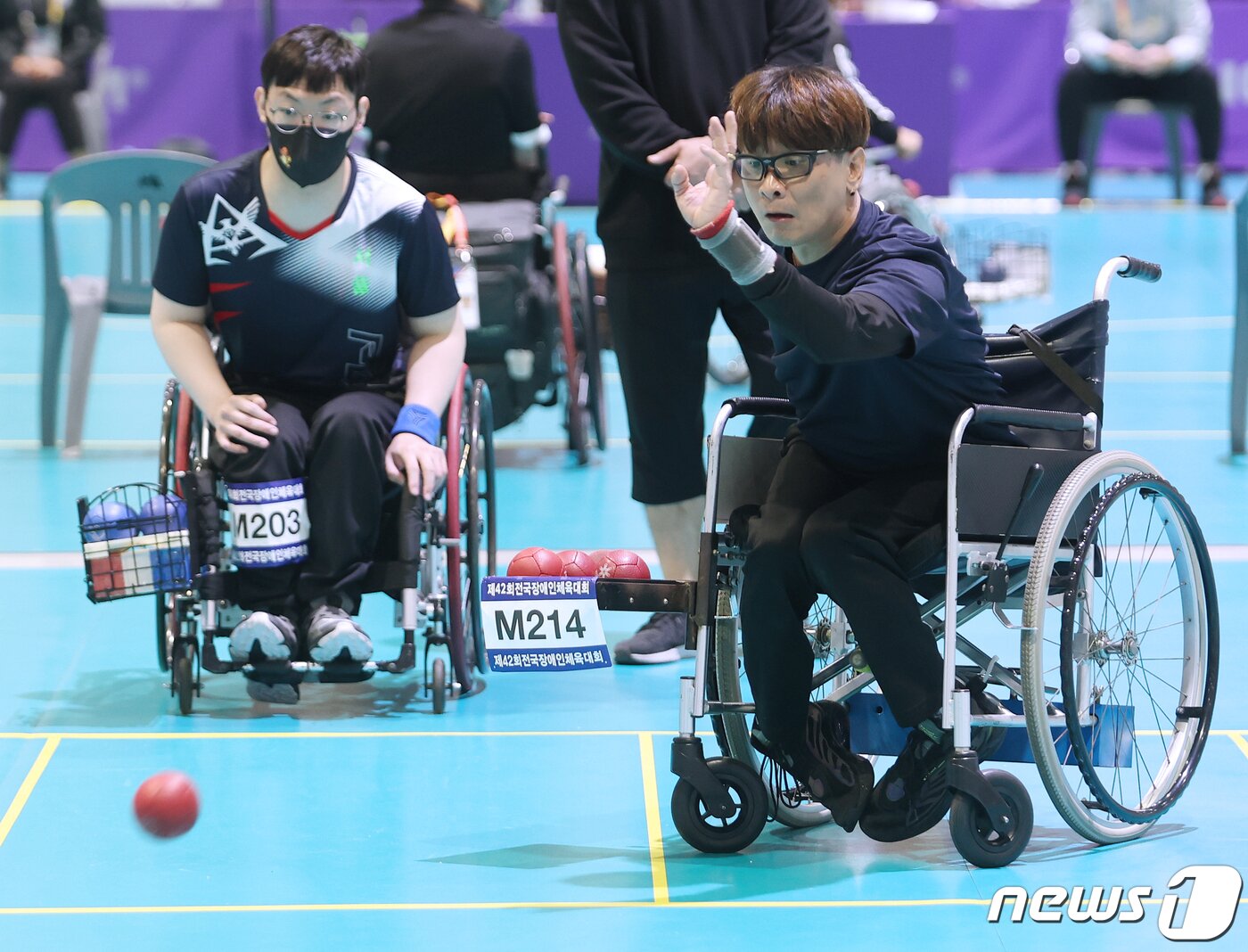 본문 이미지 - 전국장애인체전 정식 종목인 보치아.(대한체육회 제공) 2023.11.1/뉴스1