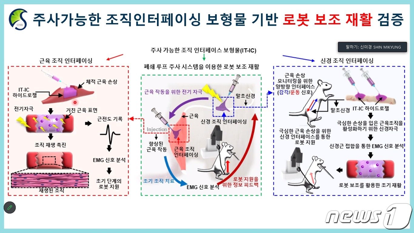  로봇 보조 재활 검증.&#40;IBS 제공&#41;/뉴스1