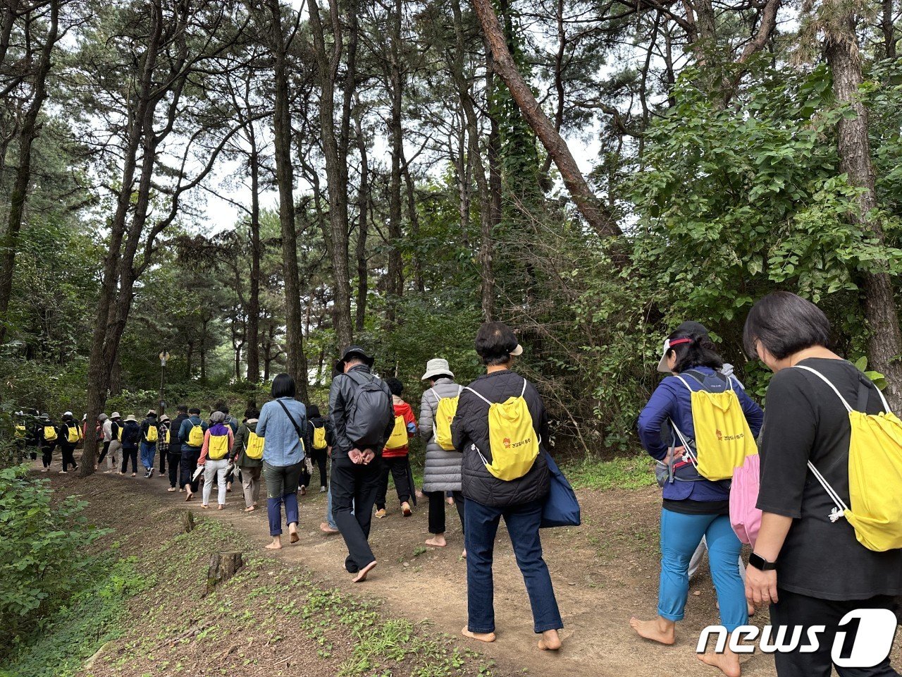 본문 이미지 -  충주시민 맨발 걷기 모습.&#40;충주시 제공&#41;2023.11.12/뉴스1