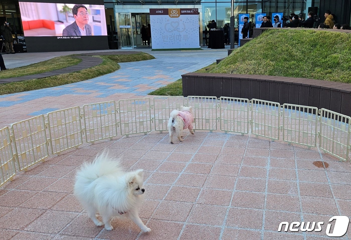 11일 경기 여주시에서는 경기도가 운영하는 반려동물 복합문화공간 &#39;반려마루&#39; 개관식이 열렸다. ⓒ 뉴스1 최서윤 기자