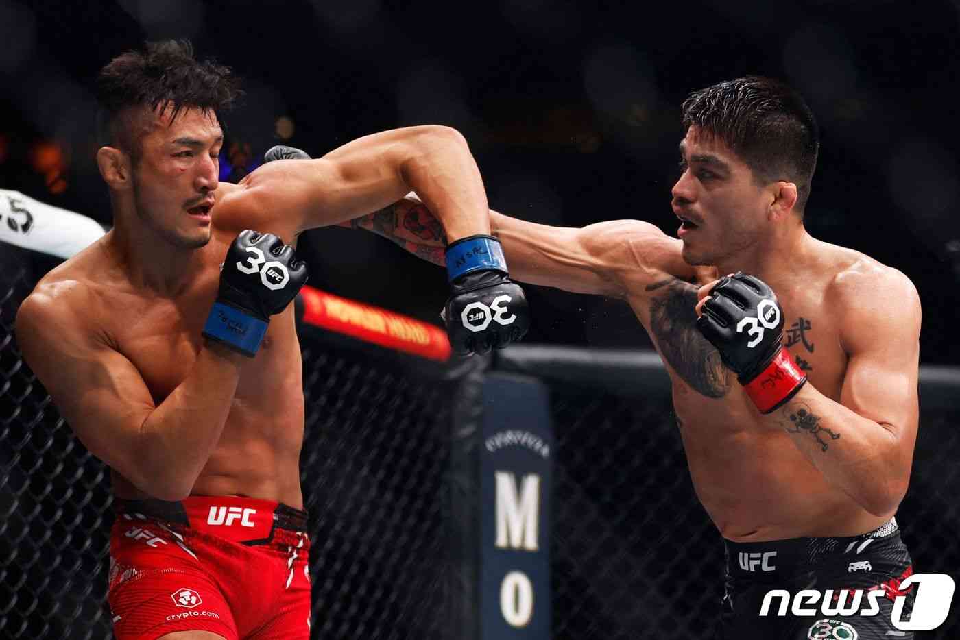 강경호(왼쪽)가 12일(한국시간) UFC 295에서 존 카스타네다와 경기하고 있다. © AFP=뉴스1
