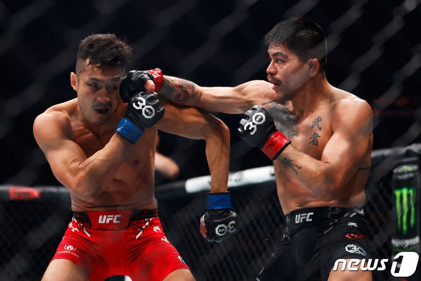 본문 이미지 - 강경호(왼쪽)가 12일(한국시간) UFC 295에서 존 카스타네다와 경기하고 있다. ⓒ AFP=뉴스1
