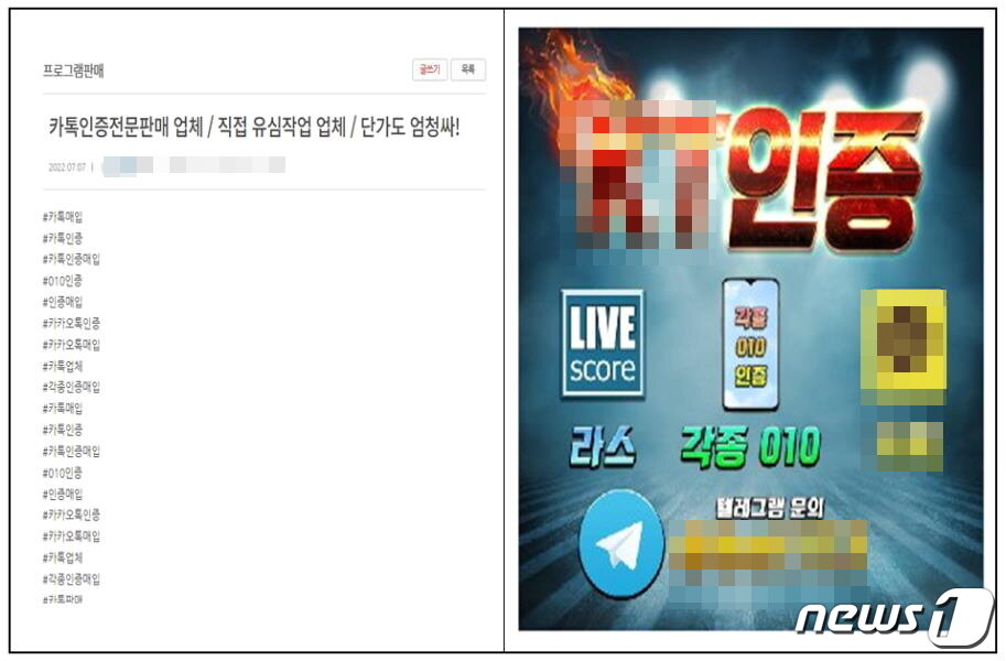 본문 이미지 - 카톡 대포 계정 판매 광고. (부산경찰청 제공)