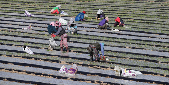 청송·영양 농관원, 동계작물 재배 농업경영체 변경신고 접수