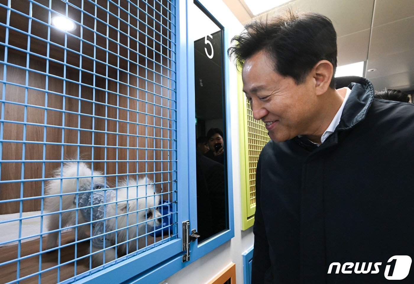 본문 이미지 - 오세훈 서울시장이 13일 오후 동대문구 서울동물복지지원센터 동대문 개소식에 참석해 유기견 보호실을 살펴보고 있다. (공동취재)2023. 11. 13/뉴스1 ⓒ News1 박세연 기자