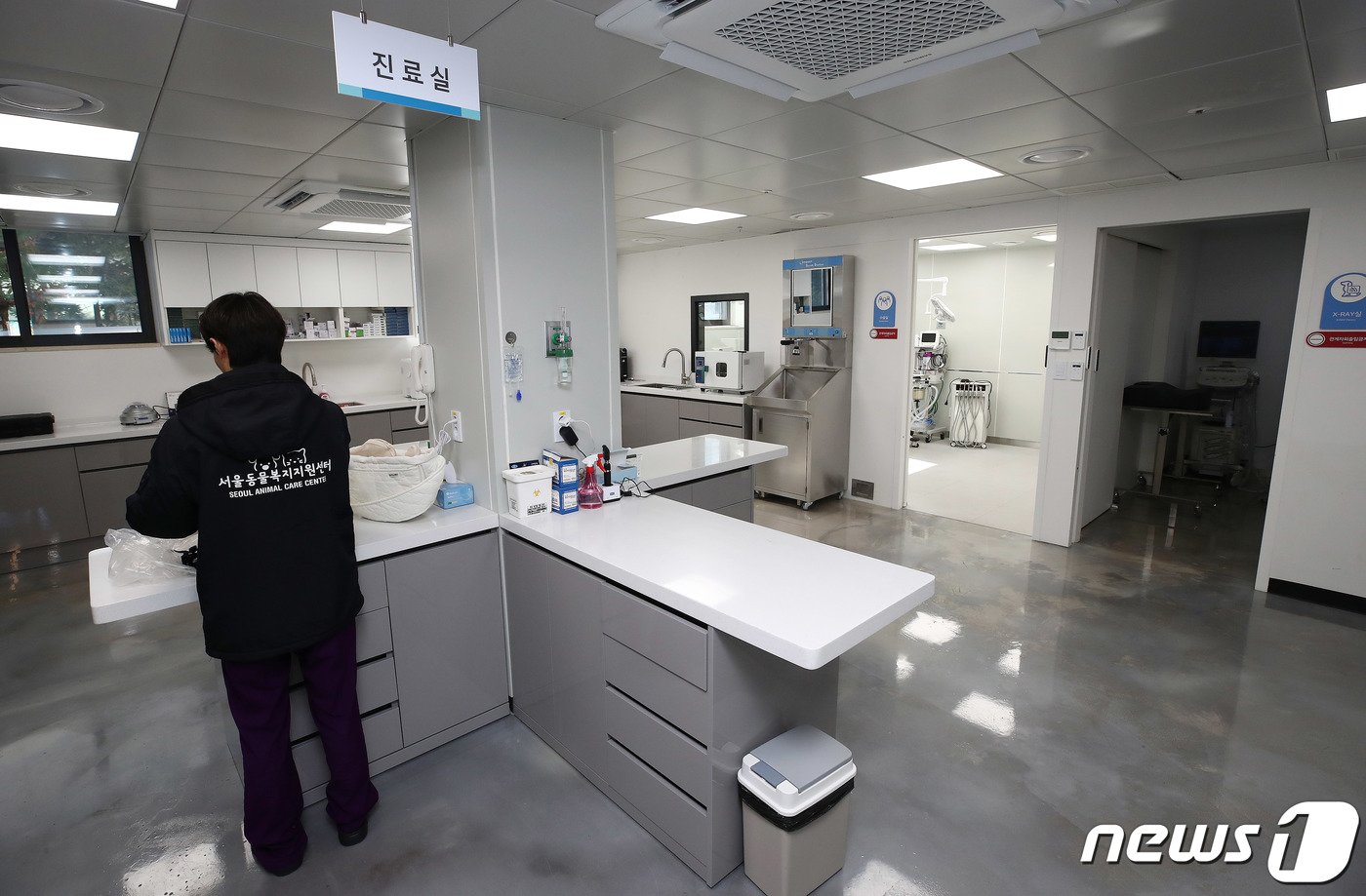 본문 이미지 - 13일 서울 동대문구 ‘서울동물복지지원센터 동대문’이 개소식을 갖고 운영을 시작했다. 사진은 서울동물복지지원센터 동대문의 진료실. 2023.11.13/뉴스1 ⓒ News1 박세연 기자