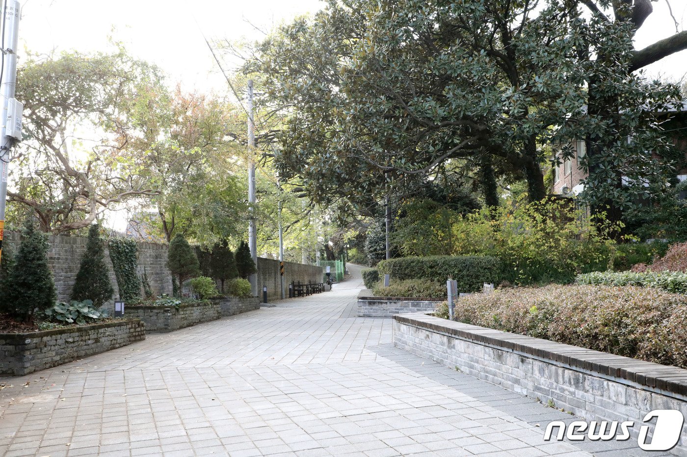 본문 이미지 - 드라마 '이두나!' 촬영지 광주 남구 양림동 호랑가시나무 게스트하우스 인근의 모습. 현재는 핵심 장면이 연출된 굴다리 세트장 등이 철거됐다. 2023.11.13/뉴스1 ⓒ News1 박지현 수습기자