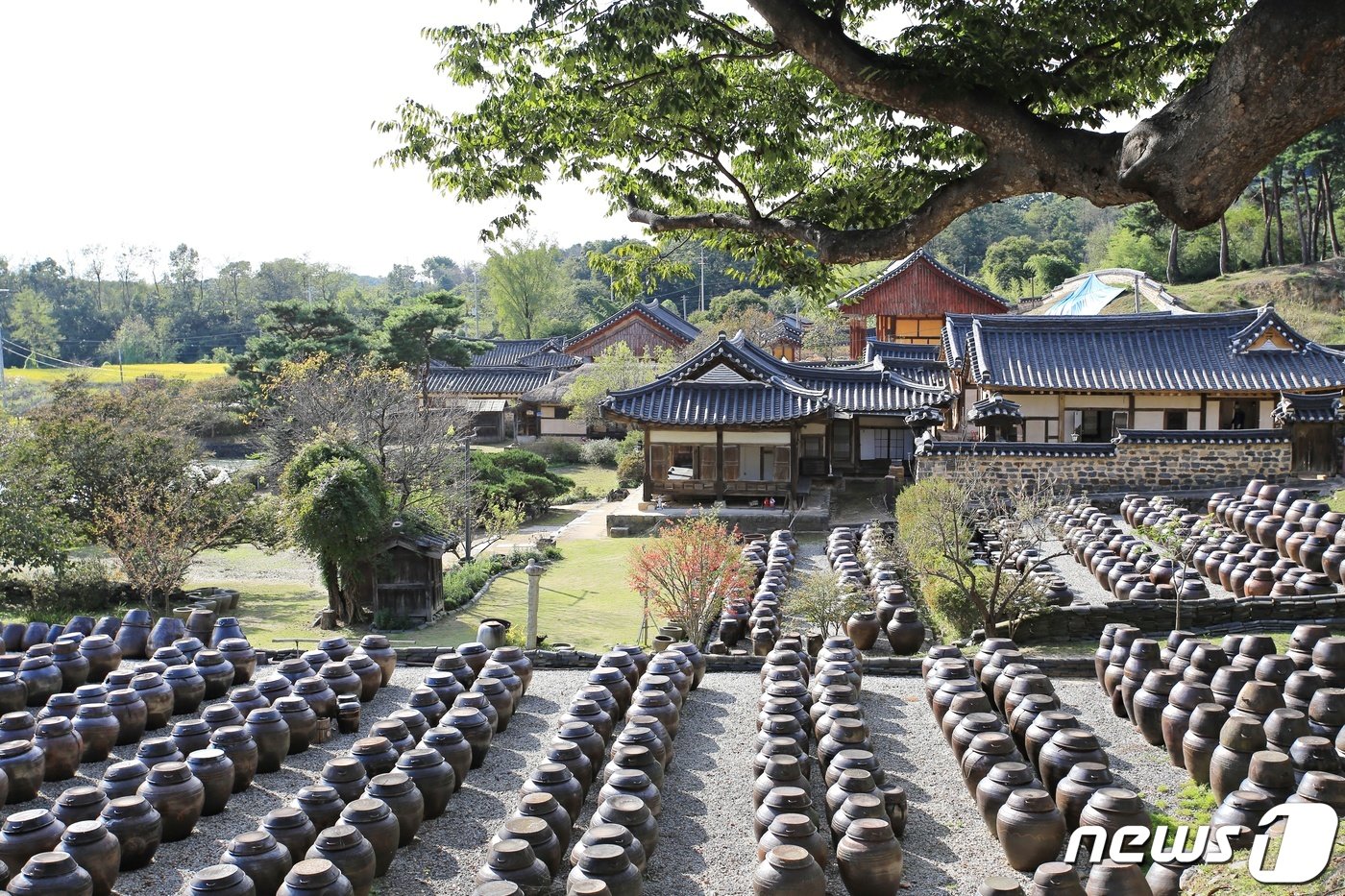 본문 이미지 - 장독대와 고택이 그림 같은 풍경을 완성한다&#40;한국관광공사 제공&#41;