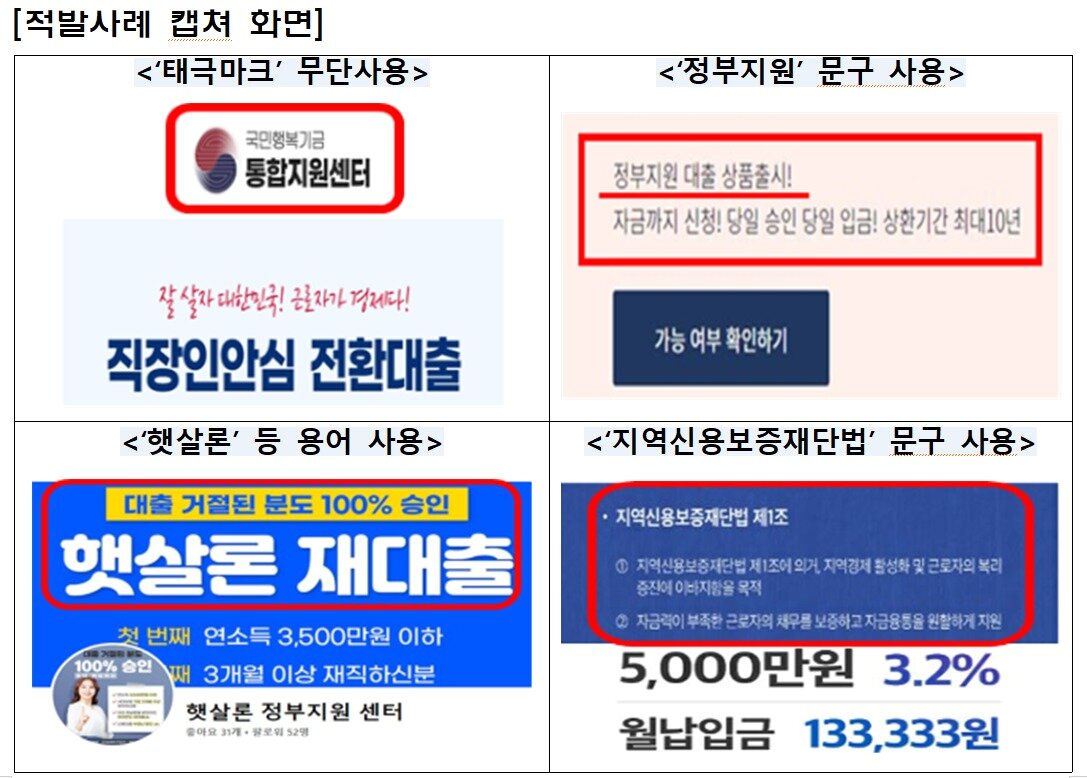본문 이미지 - (금융감독원 제공)