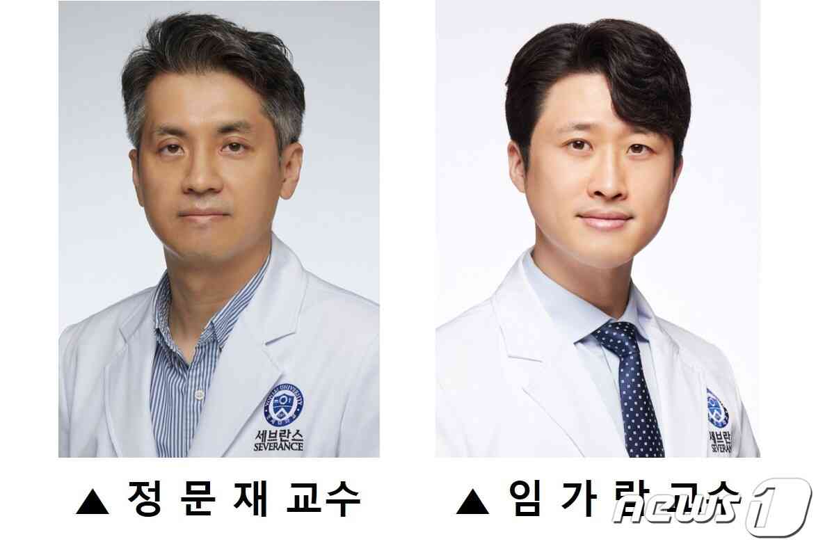 세브란스병원 소화기내과 교수 연구팀. 정문재 교수(왼쪽), 임가람 교수/(세브란스병원 제공)