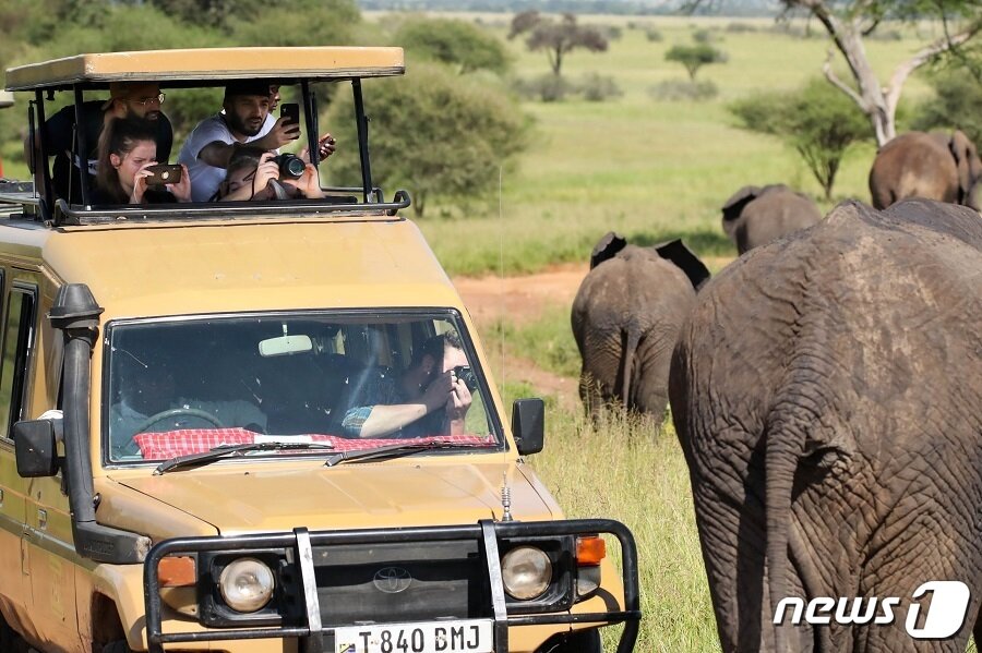 본문 이미지 - 탄자니아 세렝게티 여행.(하나투어 제공)
