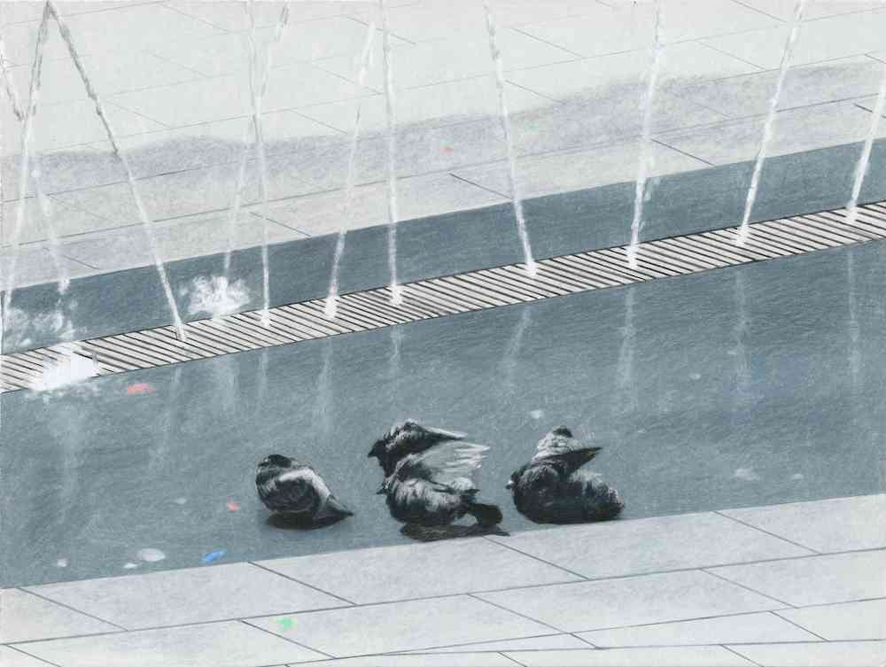 호상근, Pigeons in the Bath_229x304mm, 종이 위에 연필, 색연필, 2019_low. 오에이오에이 갤러리 제공.