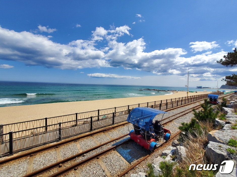 본문 이미지 - 정동진 레일바이크(한국관광공사 제공)