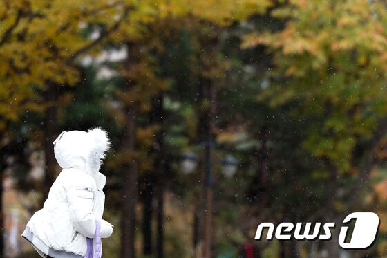 단풍 지나 겨울로