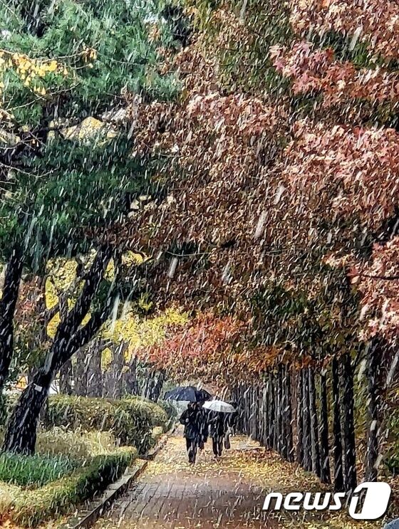 '올겨울 첫눈'