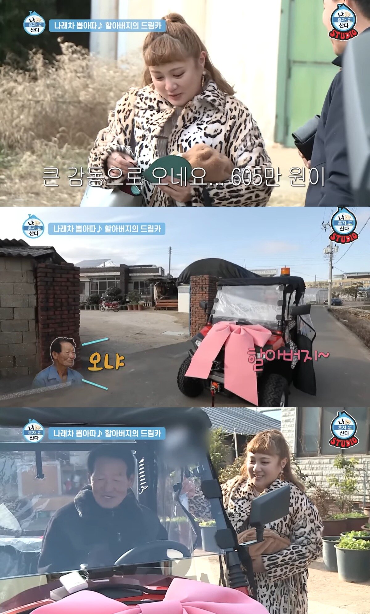 본문 이미지 - ('나 혼자 산다' 갈무리)