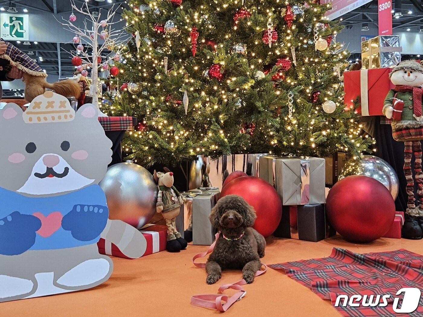 본문 이미지 - 반려동물 산업 전시회 '2023 메가주 일산'이 17일 경기 고양시 킨텍스에서 열렸다. ⓒ 뉴스1 최서윤 기자