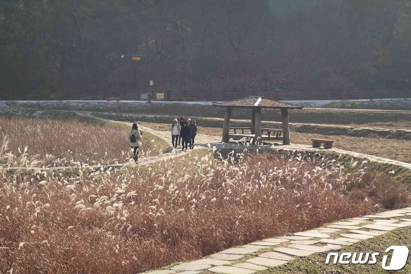 18일 충북 청주시 상당산성 자연마당 생태습지에서 시민들이 늦가을 정취를 만끽하고 있다.2023.11.18.© 뉴스1 임양규 기자
