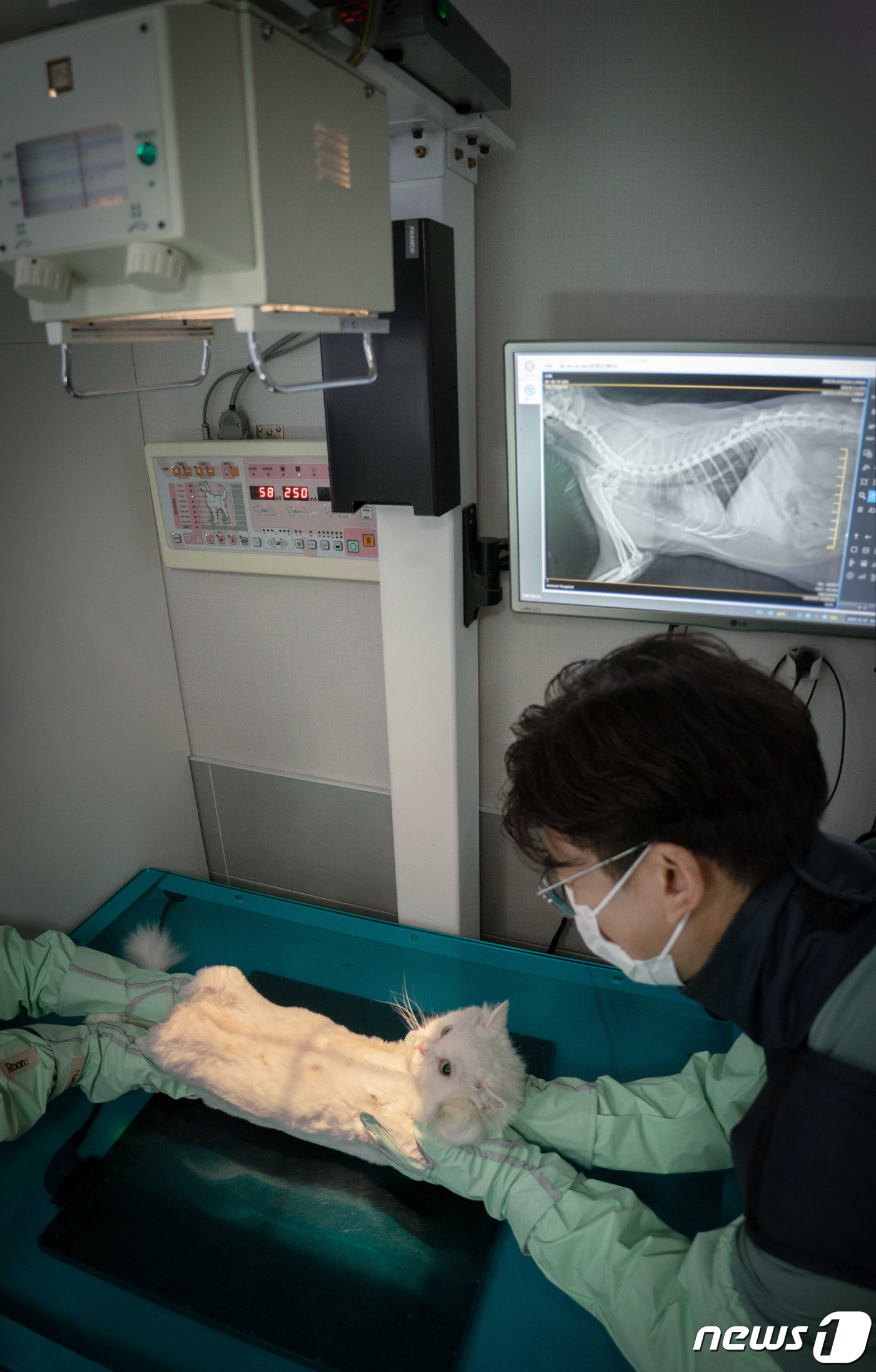 (서울=뉴스1) = SK텔레콤이 각각 호주, 싱가포르의 최대 의료기기 유통사인 에이티엑스(ATX), 스미테크(Smitech)와 파트너십을 맺고 진단범위를 기존 개에서 고양이로 확대 …