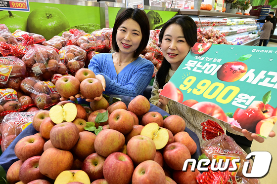 크기가 작아도 맛있는 못난이 사과