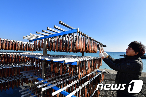 해풍에 몸단장하는 과메기