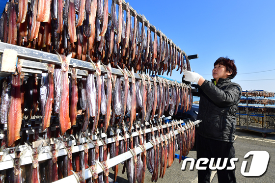 귀한 몸 자랑하는 청어 과메기