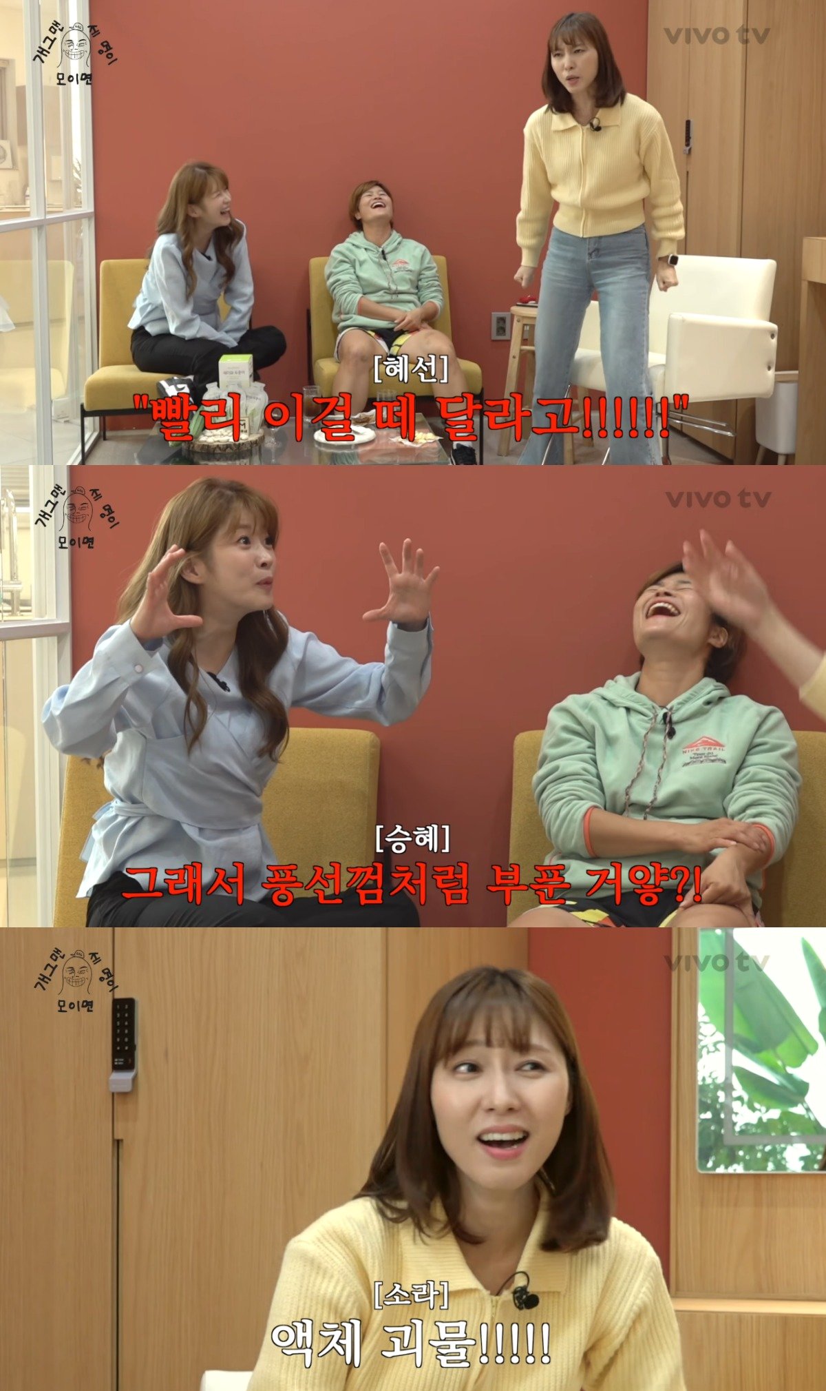 본문 이미지 - (유튜브 'VIVO TV' 갈무리)