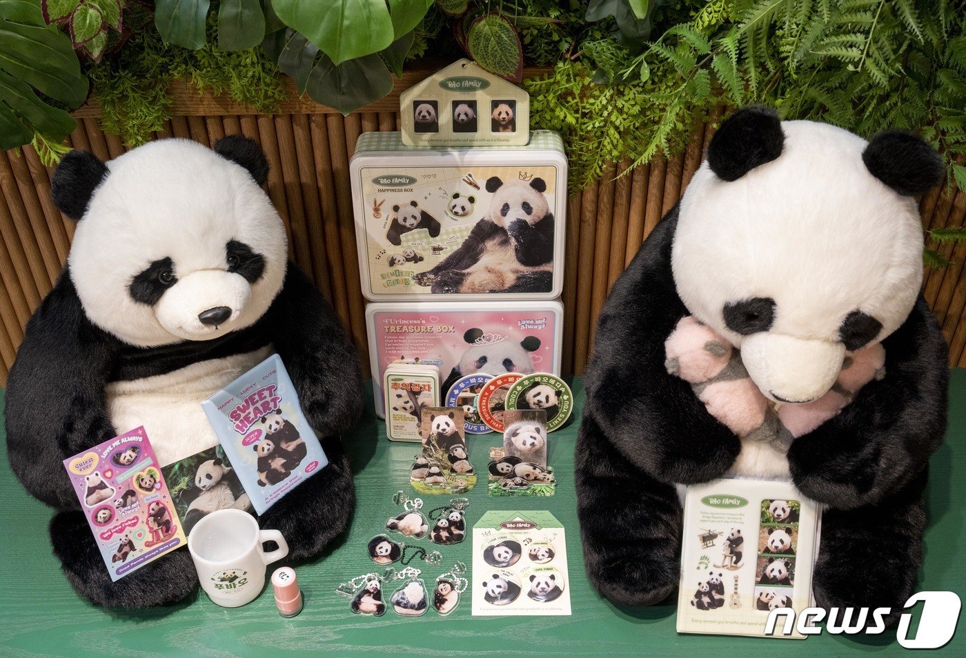 본문 이미지 - 에버랜드가 오는 9일부터 22일까지 서울 여의도 더현대 서울에 '푸바오 팝업 스토어'를 운영한다고 2일 밝혔다.  (삼성물산 제공) 2023.11.2/뉴스1