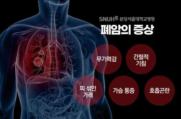 (분당서울대병원 제공)
