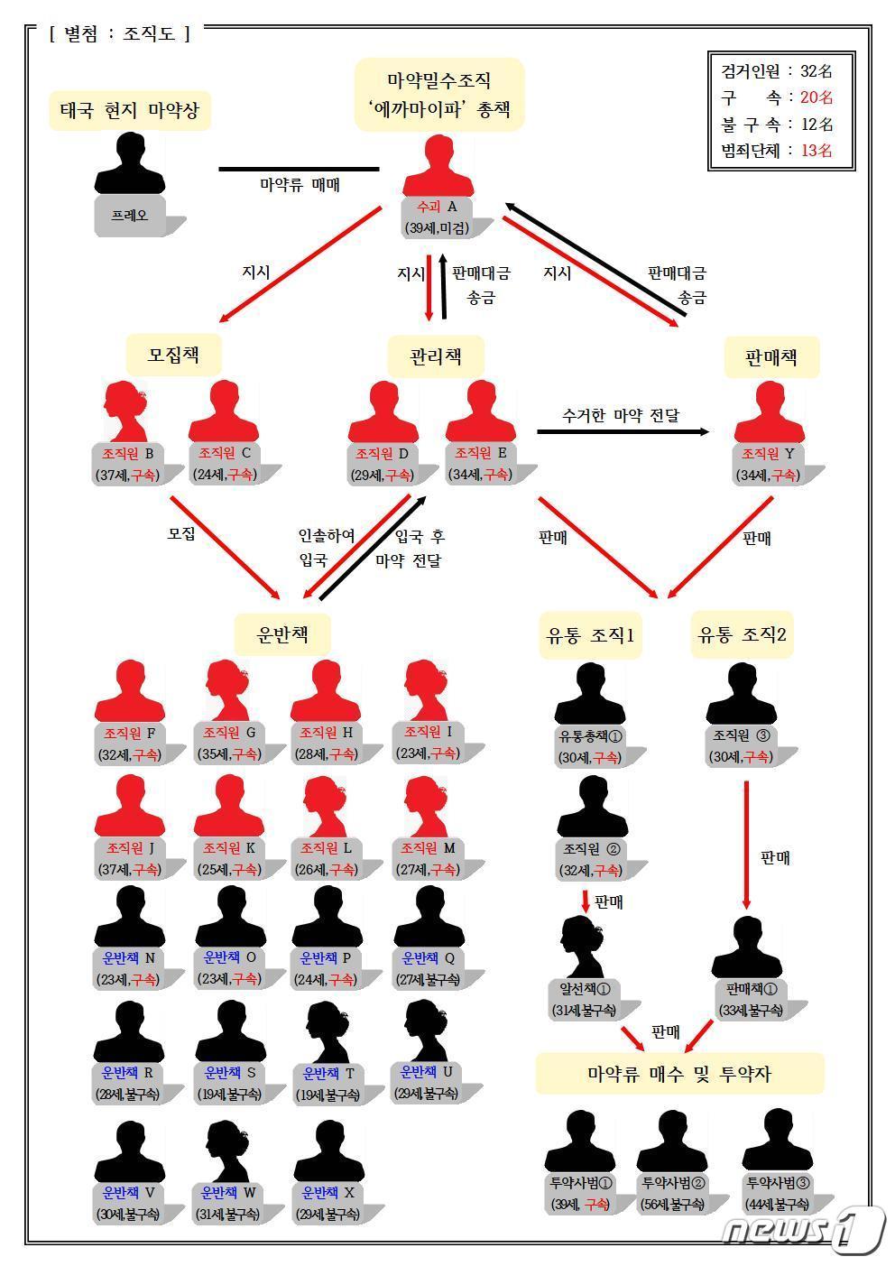 춘천지검 영월지청과 강원 평창경창서가 최근 마약 밀수·유통 조직 관련 혐의를 받는 32명을 검거했다. 사진은 범행 관련 조직도. &#40;춘천지검 영월지청 제공&#41; 2023.11.20/뉴스1