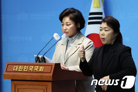 남인순 정개특위 위원장, 선거구 획정 촉구 기자회견 
