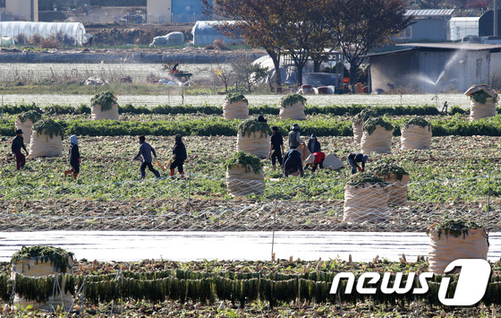 소설 앞두고 포근한 오후