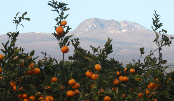 [오늘의 날씨] 제주(16일, 화)…낮 최고 16~17도