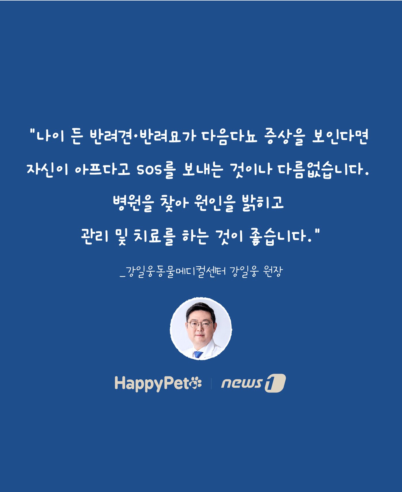 본문 이미지 - 반려동물 다음다뇨 펫카드