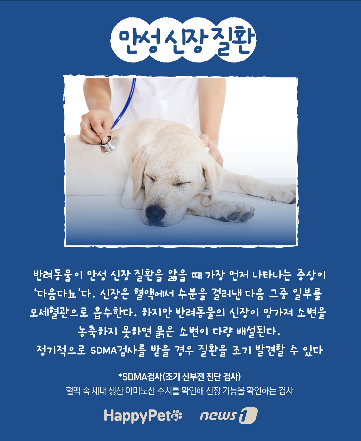 본문 이미지 - 반려동물 다음다뇨 펫카드