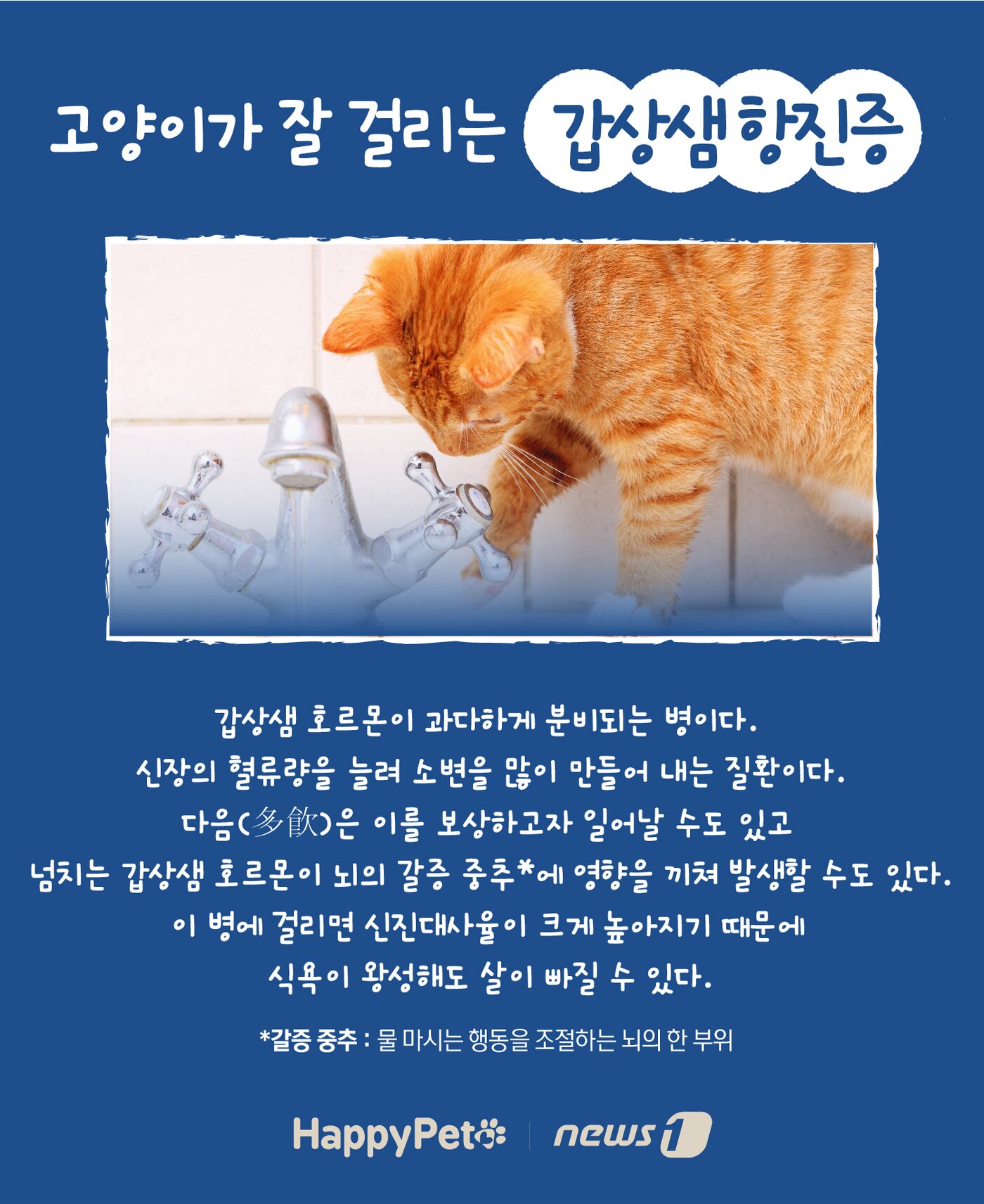 본문 이미지 - 반려동물 다음다뇨 펫카드